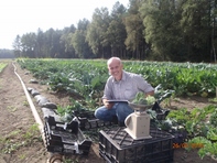 Edwin doet onderzoek in het broccoliveld