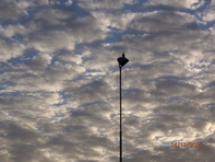 De aalscholver bekijkt het van boven