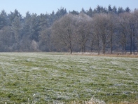 De Grote Akker op Baest januari 2017