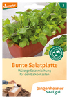 Kleurrijke salademix