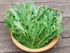 Wilde rucola